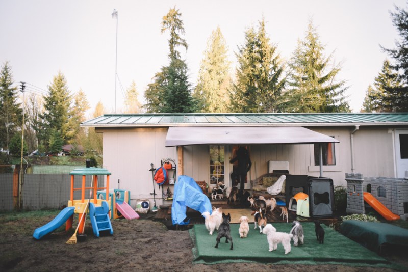 Faces of Duvall A Day in the Life of Doggies Heaven