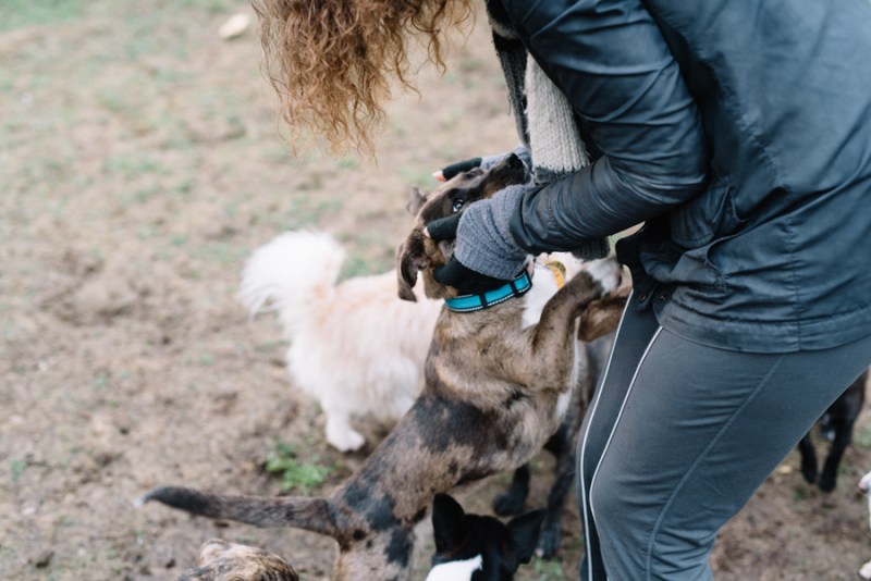 Faces of Duvall A Day in the Life of Doggies Heaven