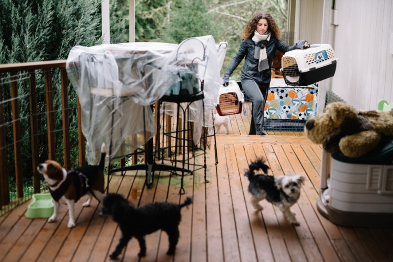 Faces of Duvall A Day in the Life of Doggies Heaven