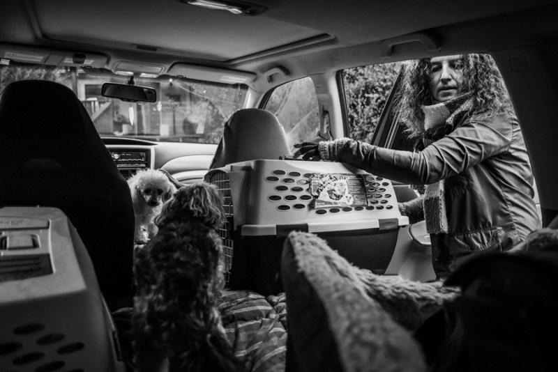 Faces of Duvall A Day in the Life of Doggies Heaven