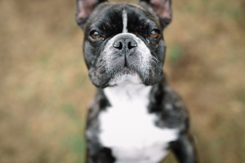 faces-of-duvall-documentary-photographer-jennifer-tai-00130