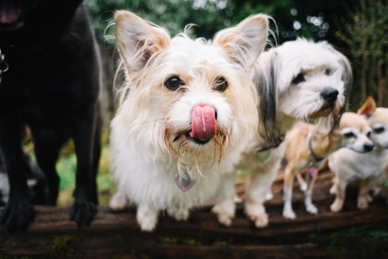 faces-of-duvall-documentary-photographer-jennifer-tai-00216