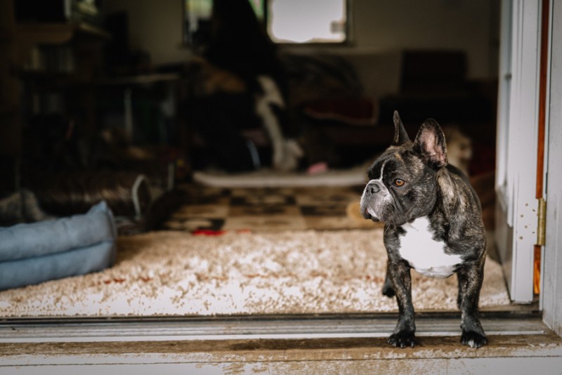 faces-of-duvall-documentary-photographer-jennifer-tai-00257