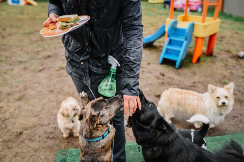 Faces of Duvall Day in the Life with Doggies Heaven