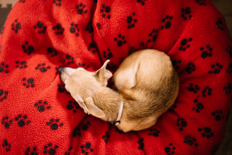 faces-of-duvall-documentary-photographer-jennifer-tai-00299