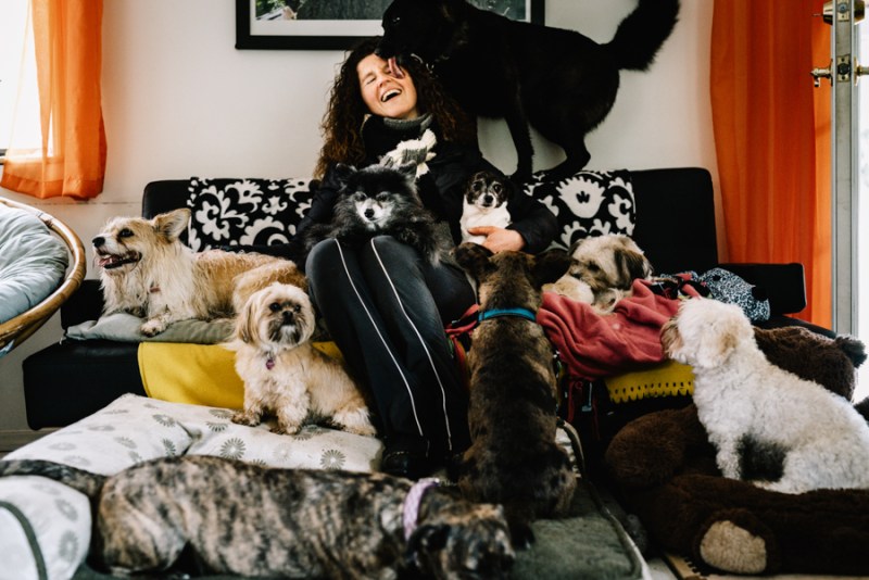 Faces of Duvall dogsitter Doggies Heaven dog boarder